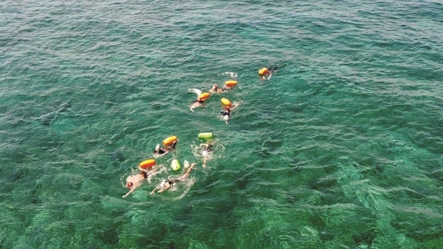 Athletes to compete in open sea swimming at Ly Son Island